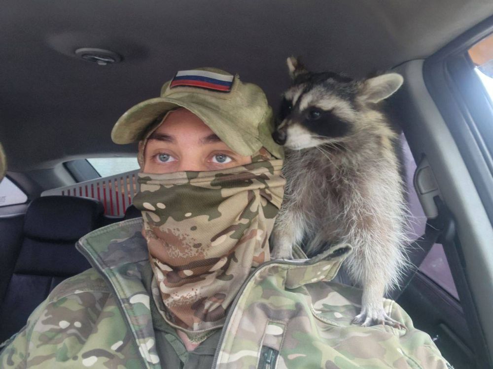 ���� �� �������: ������, ������� ������ � ����� �������� ���������� �����