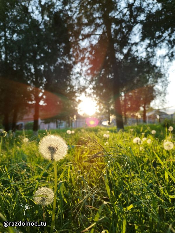 ����������!. �������� � ������� ����, ������� ���������� �������� � �������� � ���������� ����!