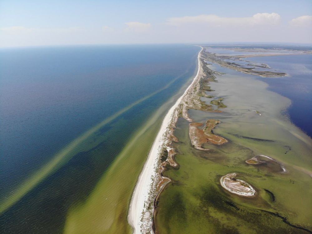 ������� �� �������� �����: ������� ��������� �� �� ����� �����