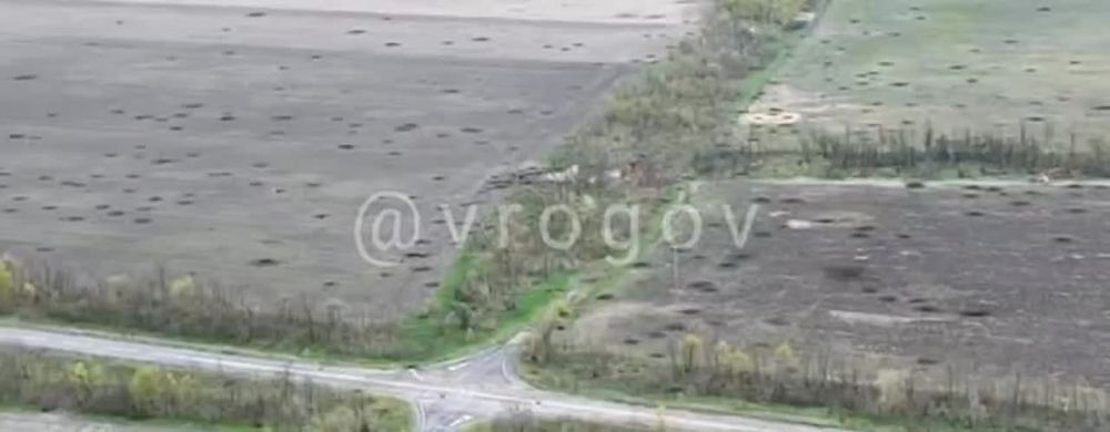 �������� �����: ��� �� ����������� ������: ����� ������ ���������� �������� � �������� ���