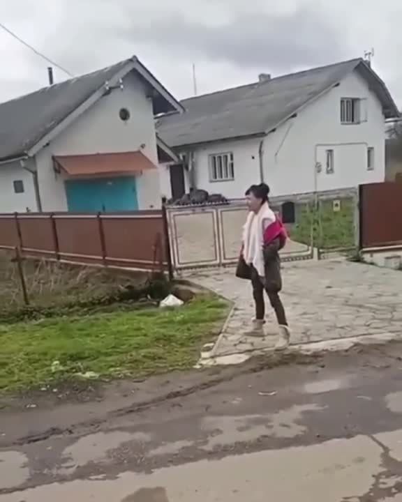 �� ����� ��� �� �������� ������ � ���������� ������� �� ���� ������������ ����