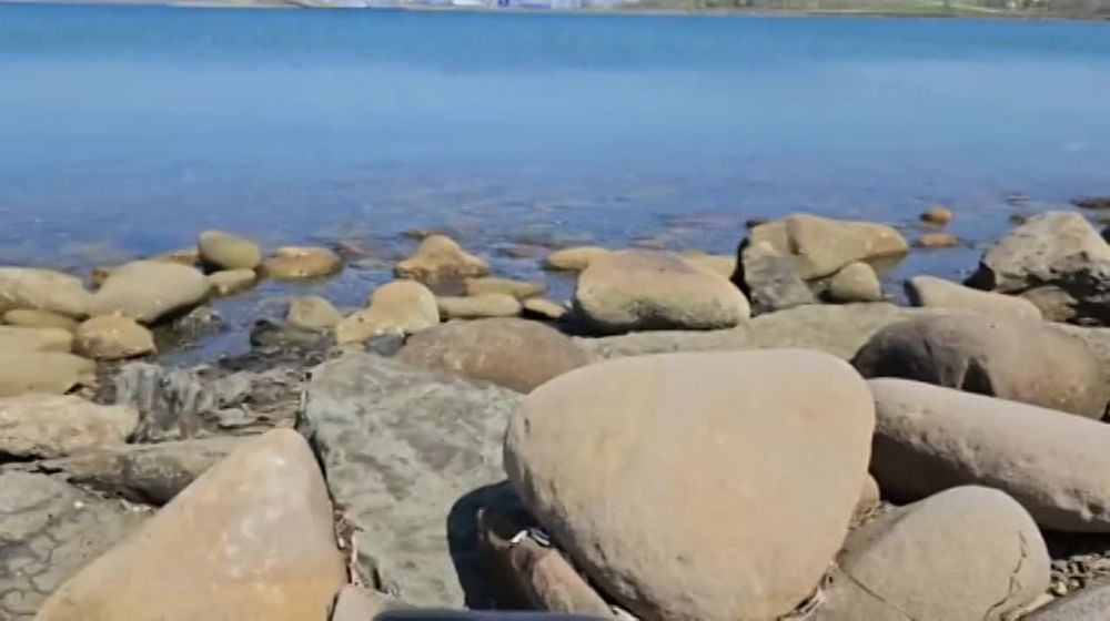 ���� �� �������: �� ����� �����������, ��� � ���� ������ ����� ����� ������?