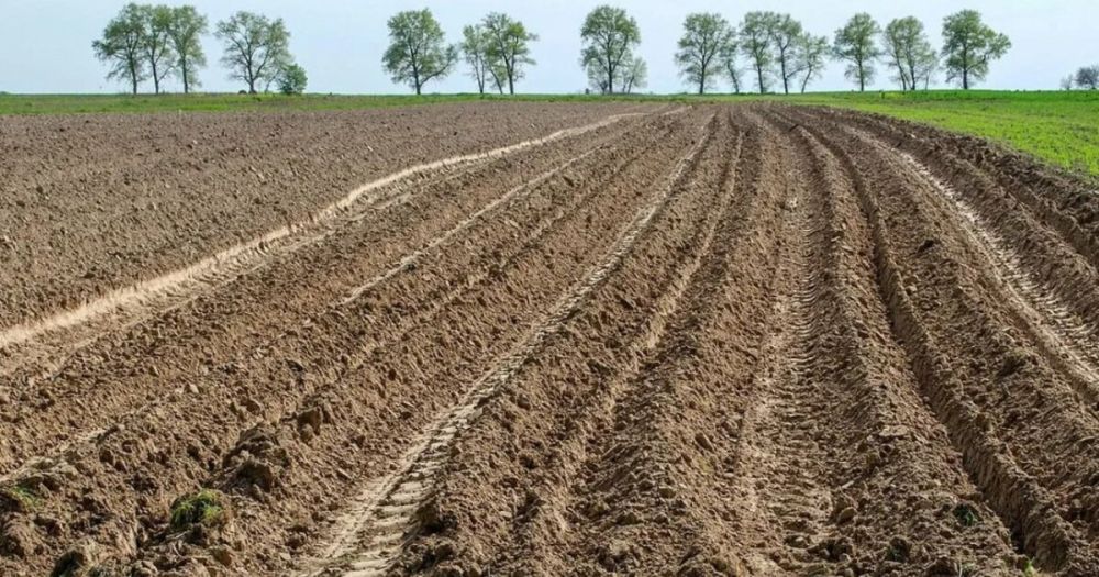 ��������� �������������� ���������� ������ ����� ������