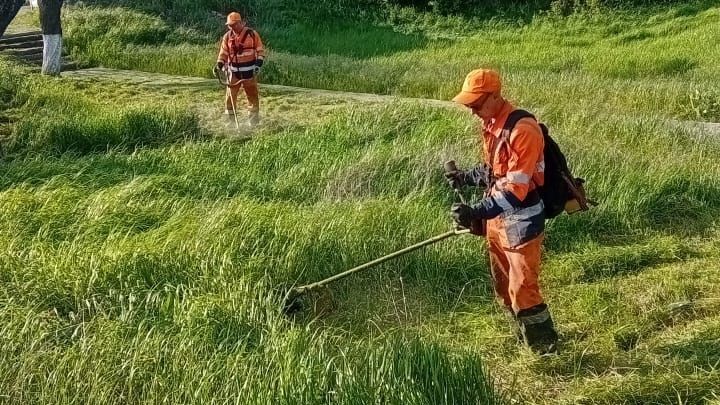 ������������ ������ �� ���������� � ���������� ������ �� ������������� ������ ������� � ���������� ��������-�����������-������-���� �� 160 - �� 170