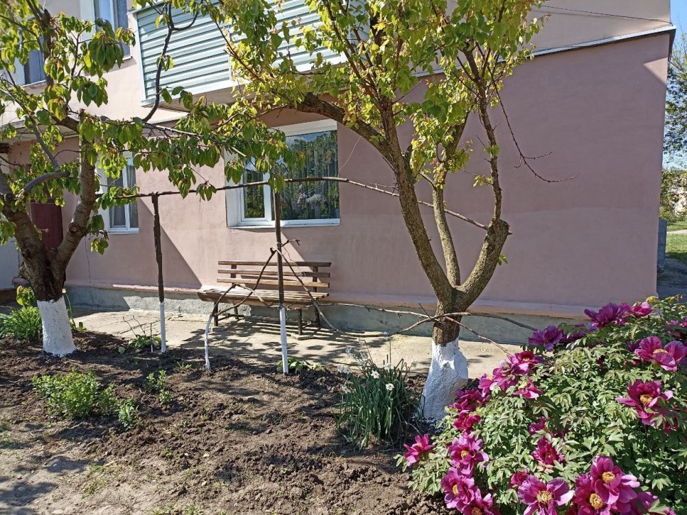 ��������������� ��������� ����������� ���������� ������� "����������� �������� "������" ������������� ������ �� ������������ ��������������� �����, ��� �������� � ���� ������ ��������� � ����������� ���������� ����