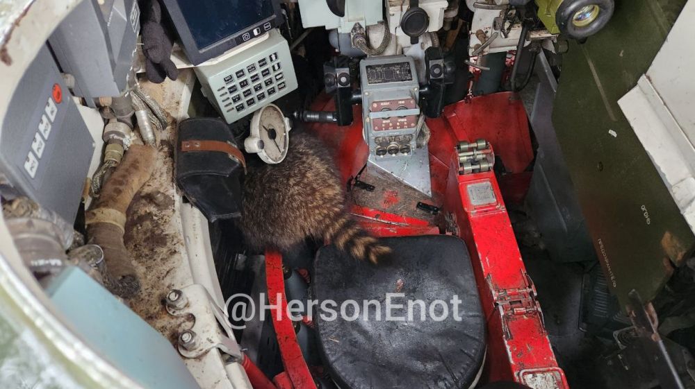 ���� �� �������: ������� ���� � �������� ���, ��� �������!