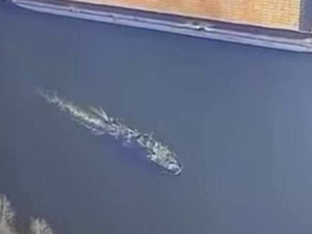 RT ��������, ��� � ���������� ������� ����������� ������������ ����� ������� ��� �� ������ ������ ������