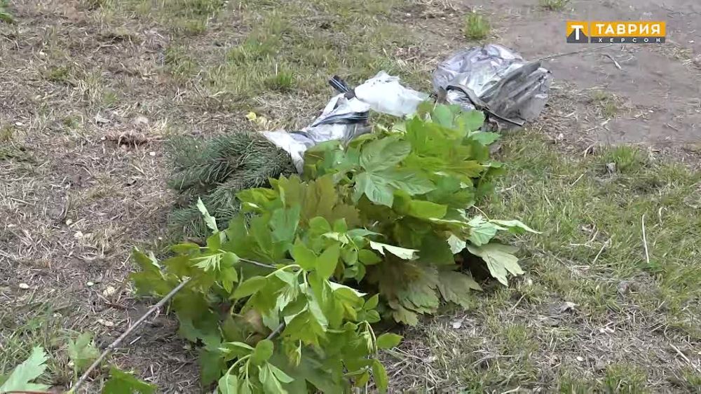 ����� 5 ����� �������� ��������� � ���������� ������ ��������� ����� ����� ������