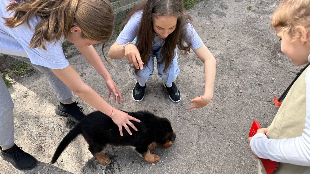 ������ ����� ������ � ���������