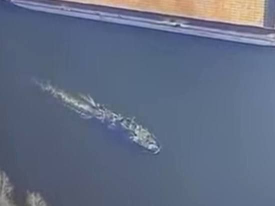 RT: � ���������� ������� ��������� ��������� �������� ��� �� �������