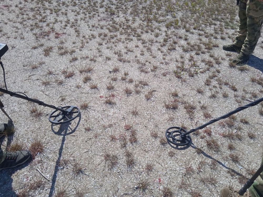 ����� - ���������� ����