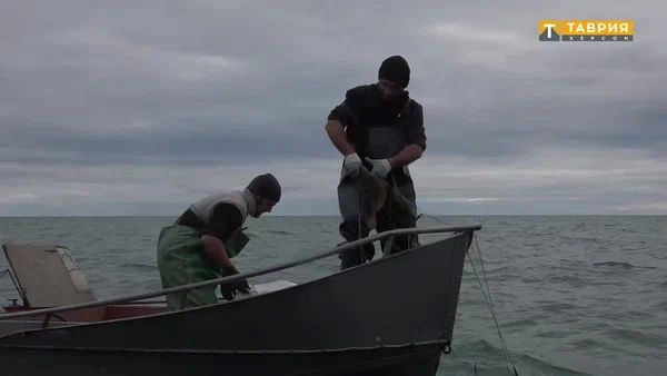 ����� 120 ���� ���� �������� ����������������� ����������