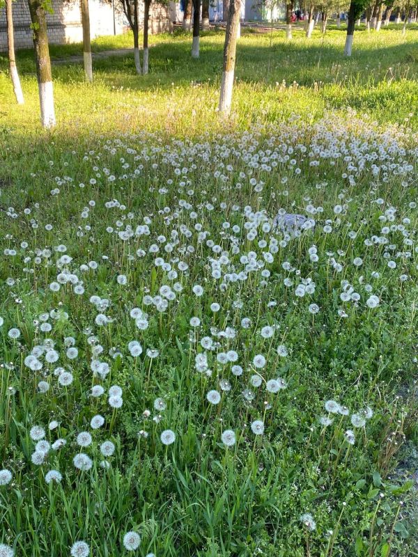 ������ ��������. ����� ����