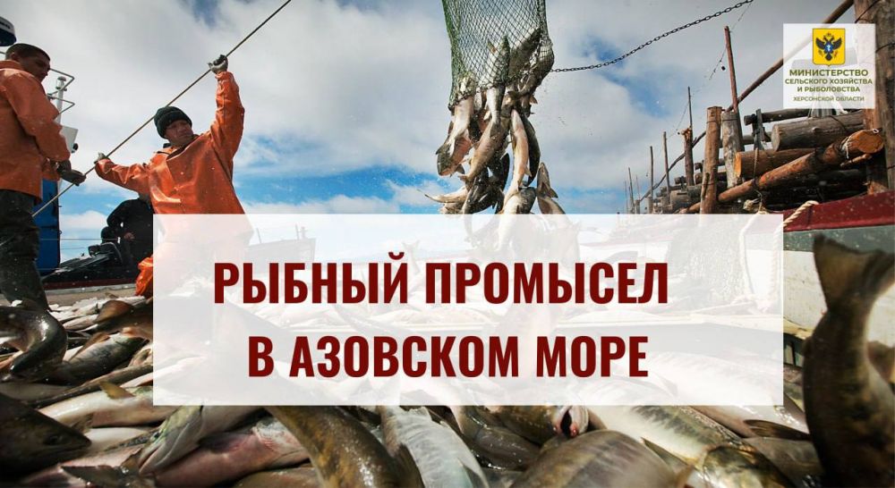 ����� ����������� � ������ ������ �������� ����������� ��� � �������� ����