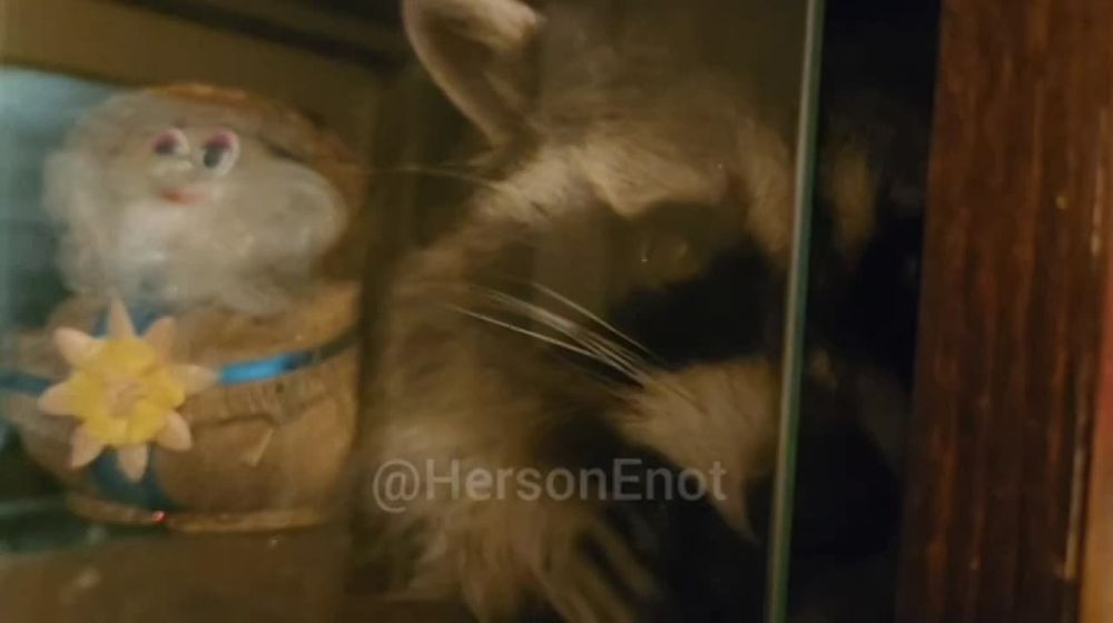 ���� �� �������: ������� ������� � �����!