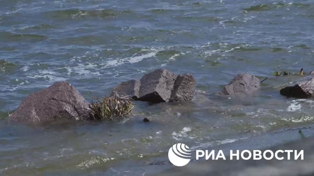 ��� �� ������ ����������� �����, ���� ������ ����������������, ������ ���� ����������� "�����", ������� ������ ��� ������� ������� ���������� �������: