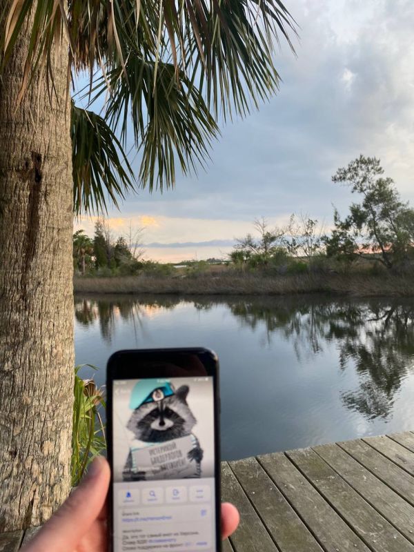 ���� �� �������: ��������� ������ �� ����� ������� ����������� ��-�� ������