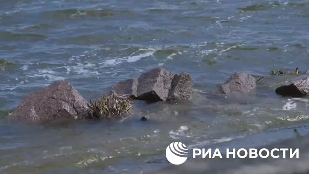 ���������� ������ ��������� ��� ��� ����� �������������� ����� �����