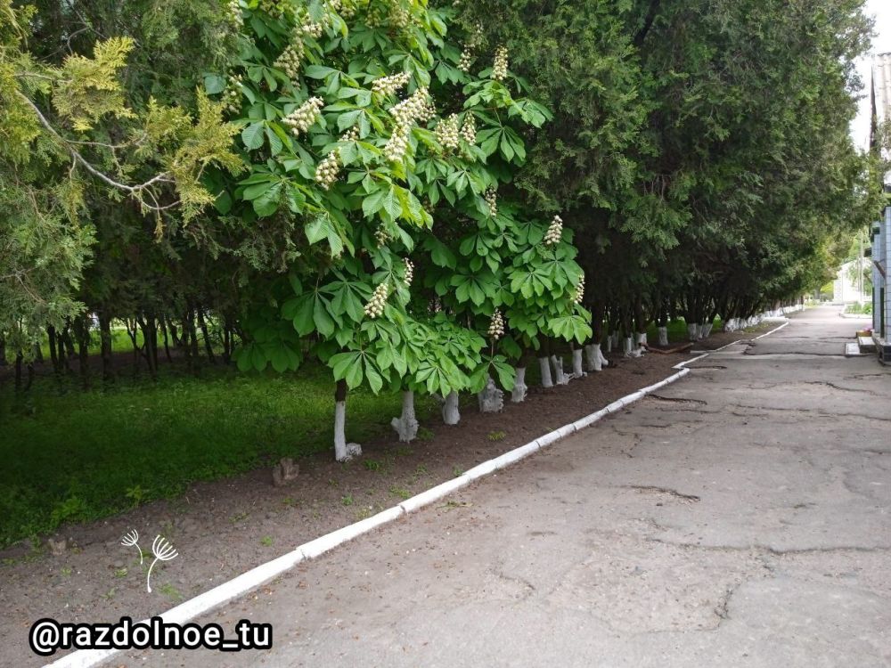 � ������ �����, ����������!