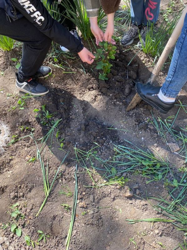 ������� ��������� �� ���������� ���� ������ ���� � �������� ���������� ������� � �����