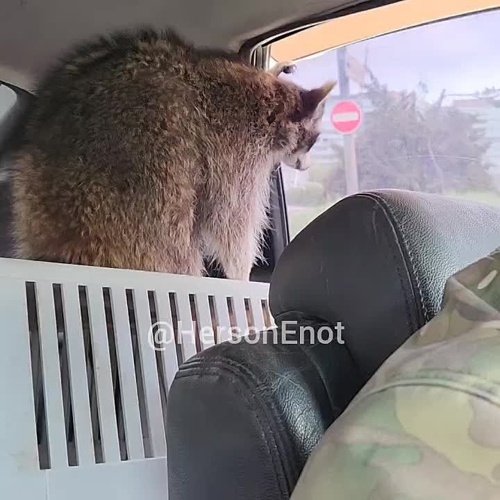 ���� �� �������: ������� ���, ������! �� ����� ����-�� �����