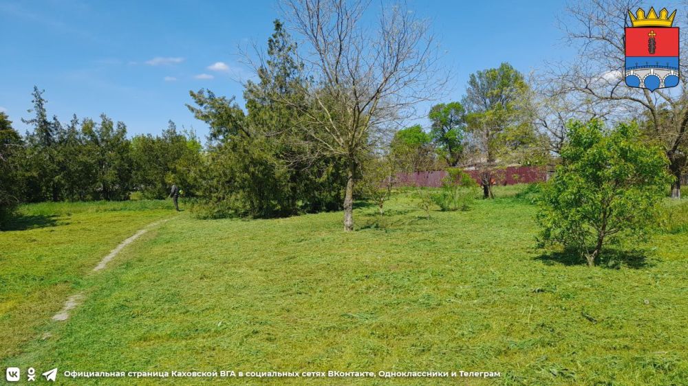 ������������ ������������ ����������� �����������