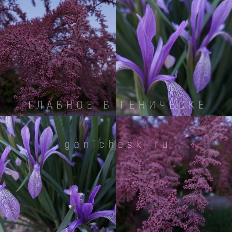 ������� ������� ������ ������