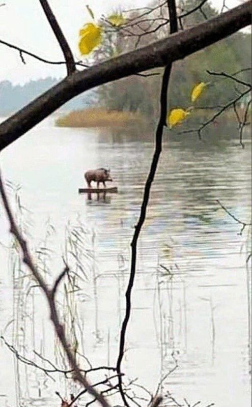 ������� � ��������� ������������ � ������������ ������!