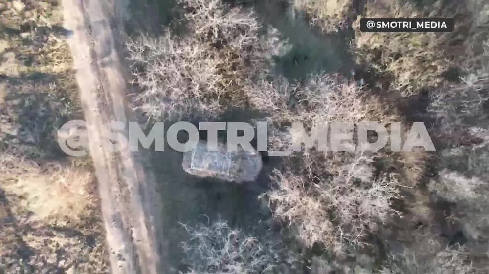 ������ ������������ �� �� ���������� �����������