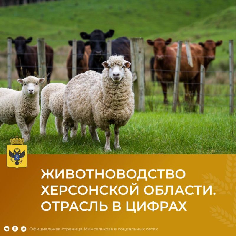 �������������� � ���������� ������� � ������: ��������� � ���������� �������� ������� �� 2023 ���