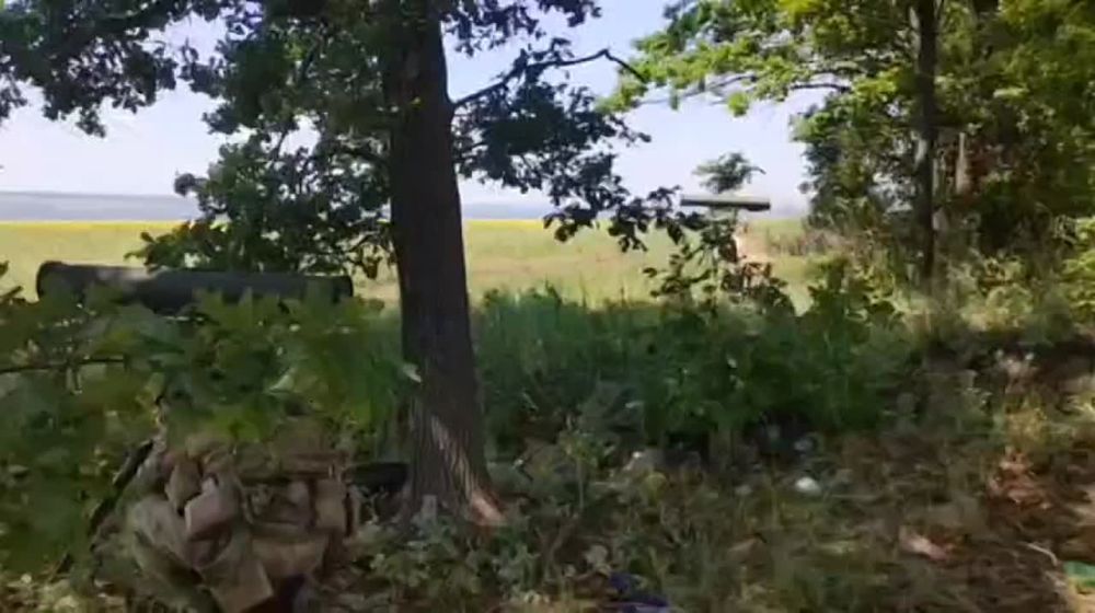 �������� �����: ���� ����� ��������� ����� �� ��������