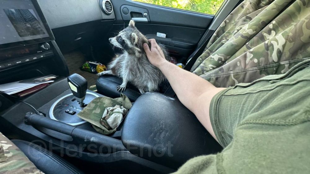 ���� �� �������: � ������ ��������� �����, ������