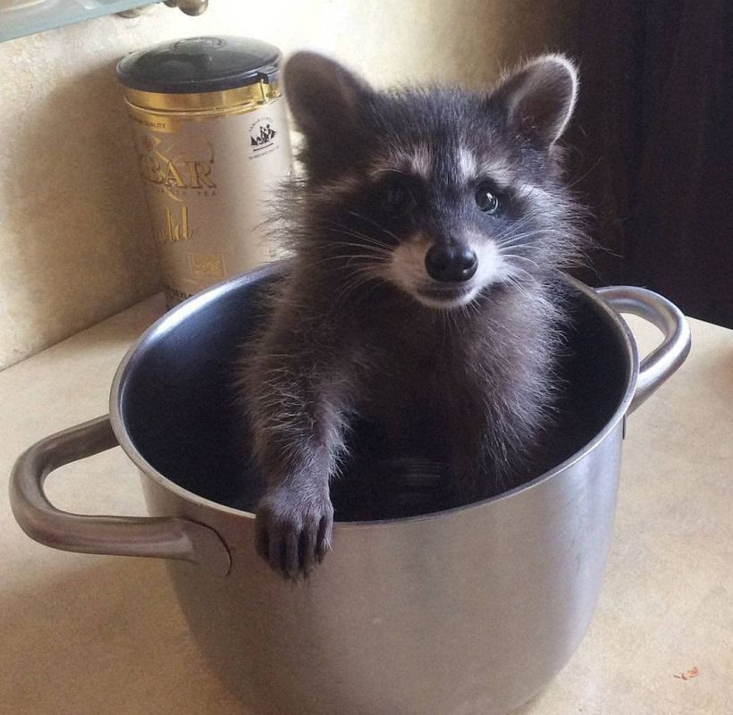 � ������ �����! ����������!