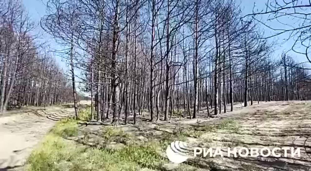 ��� �������� ���������� ��� �� ����������� ����