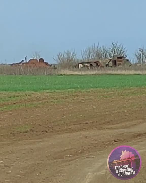 ���������� ������� ���������� ��������� ����������� ��� ���������� � ���������� �������