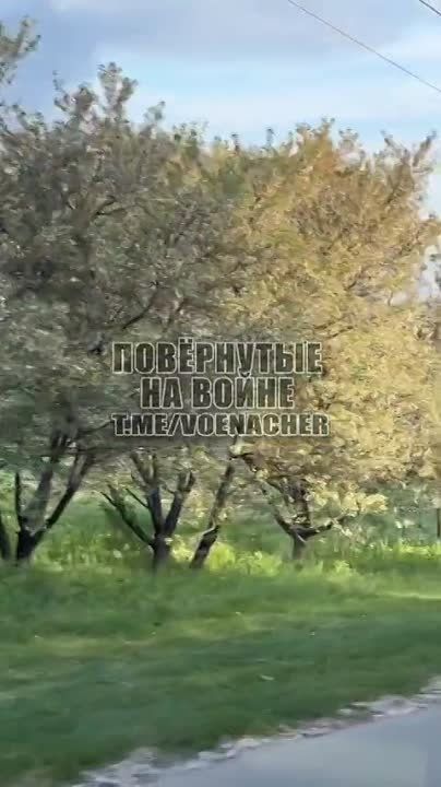 ���� �� �����, ������� � �����������, ������ ������ �������-��������������� ����������, ��������� ��� � ����� ���