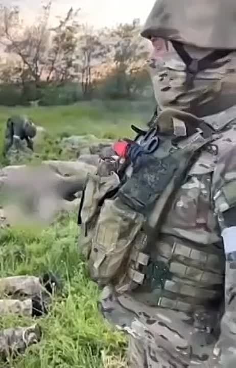 �������� �����: ������ ���� ��������� �� ������ �������� �� ����������� ������