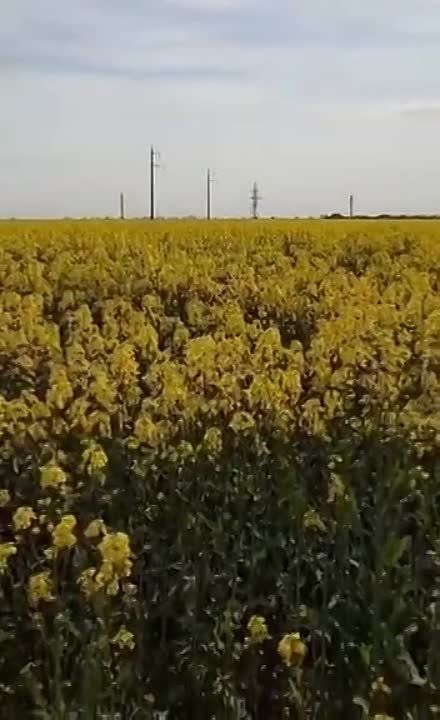 �������� ����������: ��������� ���������. ����������� ����� ��������� �� ���������