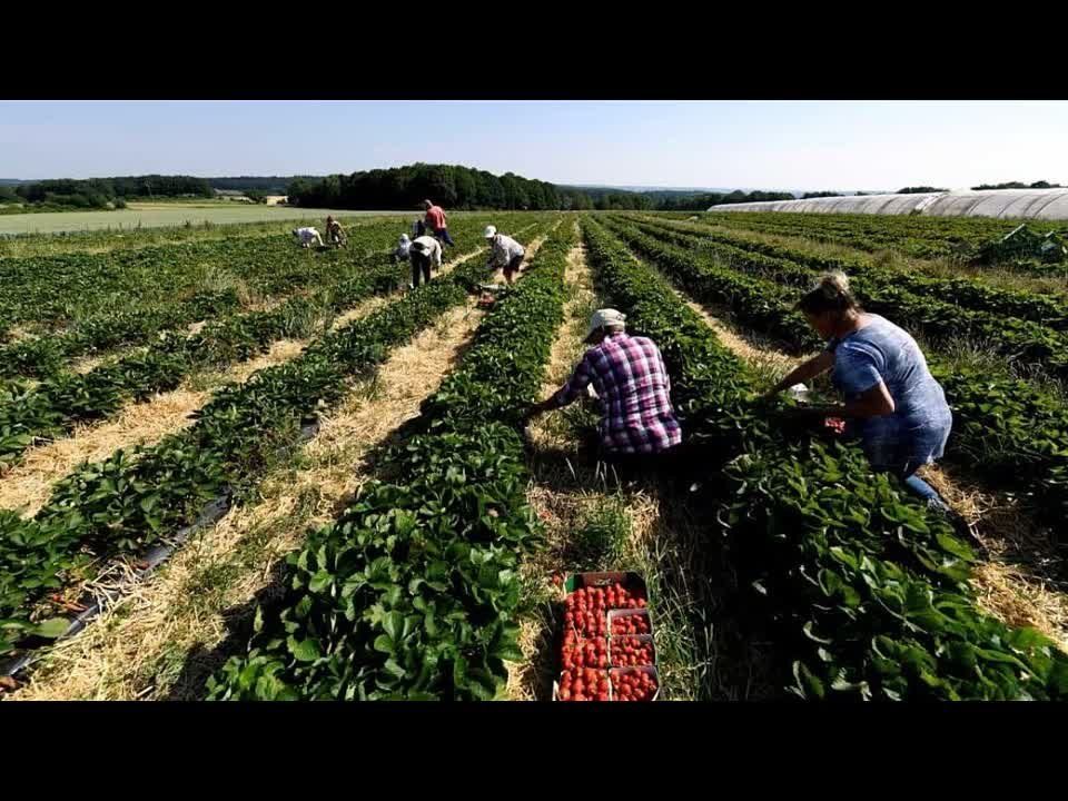 �� ������������� �� �������������� � ������� ������������ ������� ���� �� ������� �������