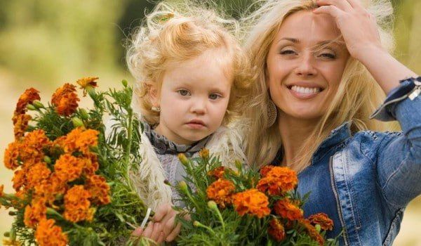 � ����������, ������� ����!