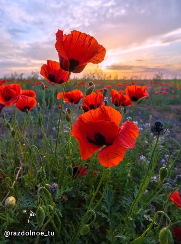 ����������!. � ���������� ����� ������!