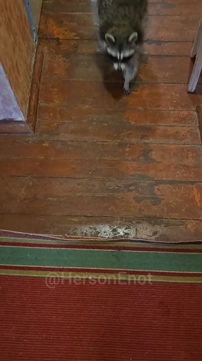 ���� �� �������: ������, ���� �����! ������ ����� ��������� � ����� ������