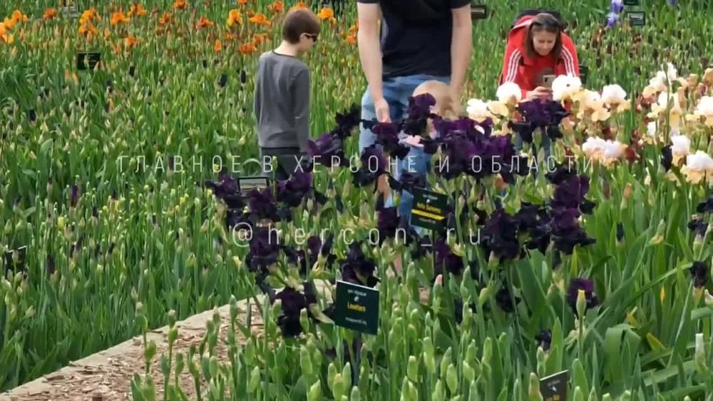 � ����������� ������ �������� ������ � �� �������� ������� ���� ������������ ��������� ���������� ������