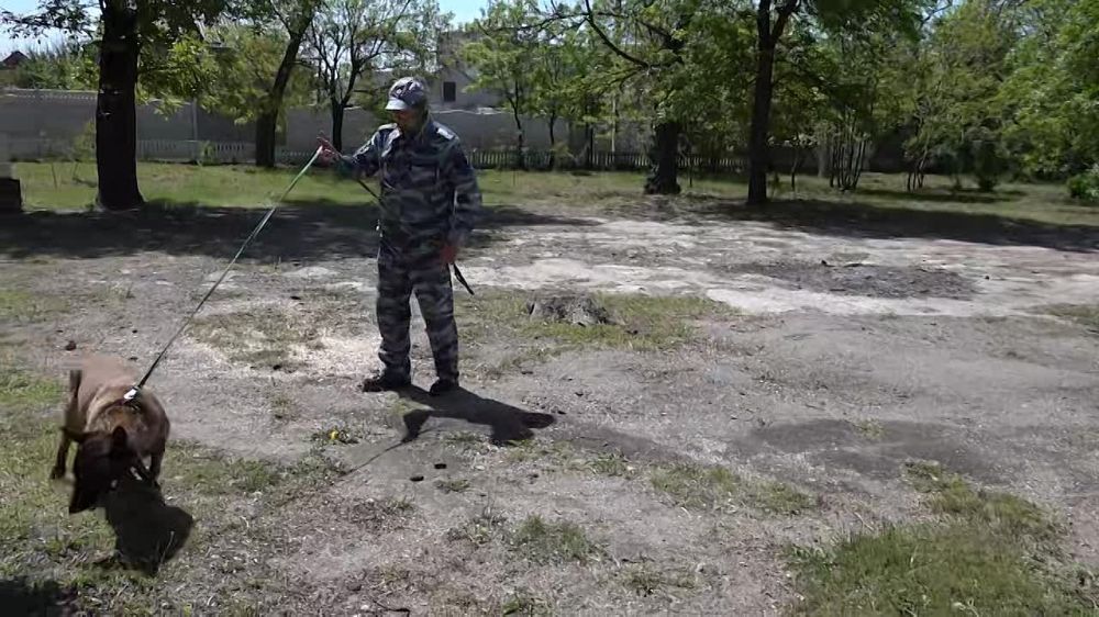 �������������� ������ ���������� ������� ������� ���������� ���� ������������