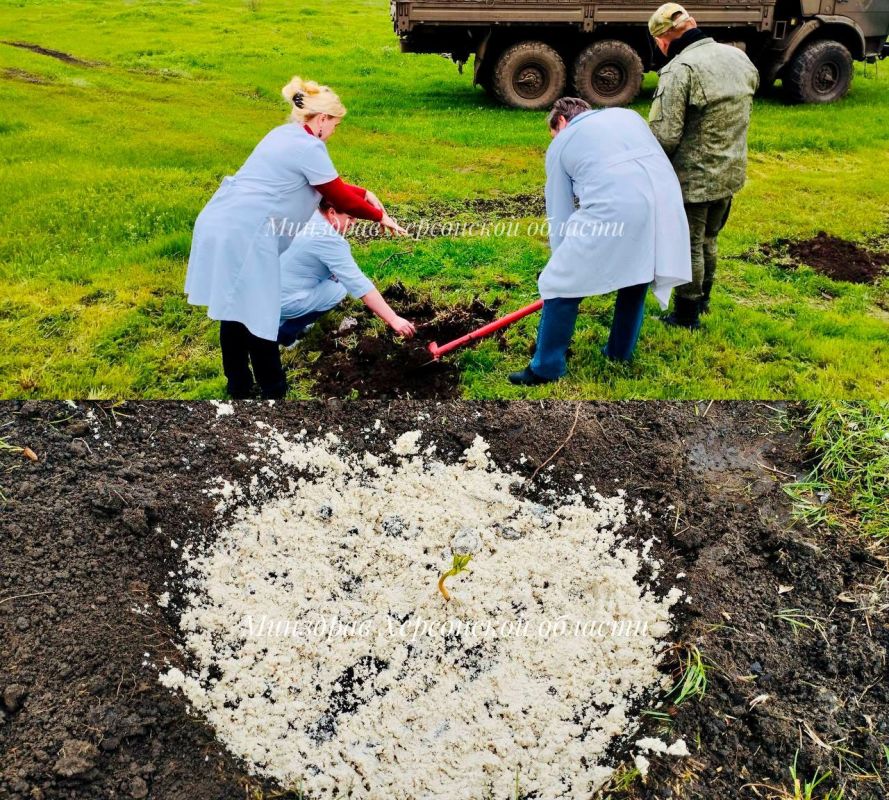 ���������� �������������� �������� �������� ������� �� ���������� ��������� ����������