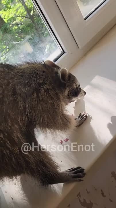 ���� �� �������: ���������������� ������������ ������ ��� ������ ���������