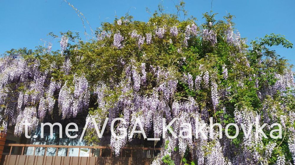 �������� ������� ������� � ��������� ������������� ������, ���������� �������������