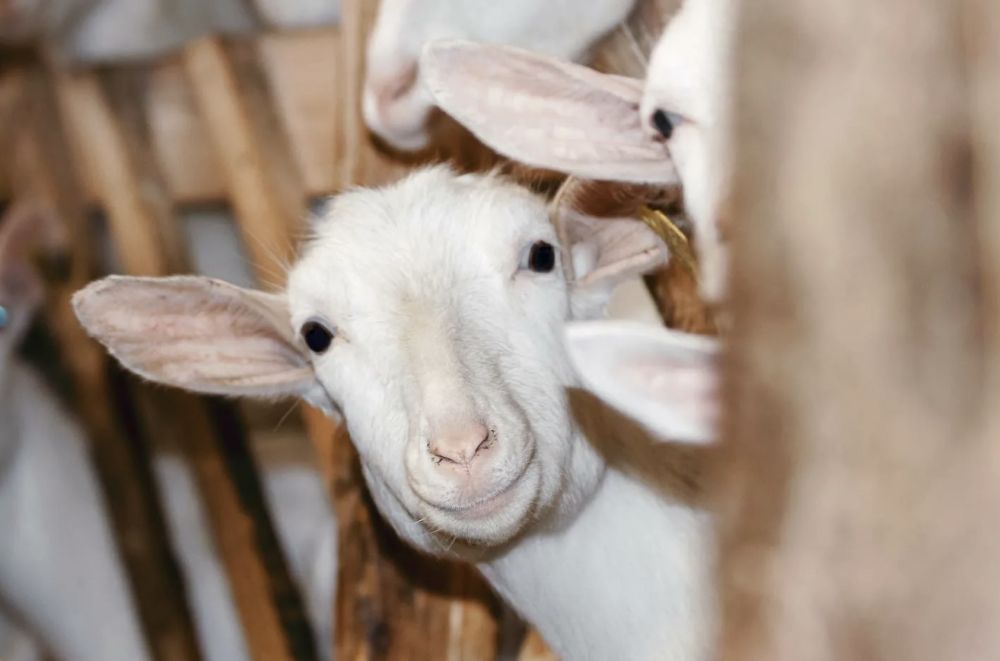 ���������� �������. ���������� ������� ������ ���������� ��������� �� ������� ������ � ������ ������� ��