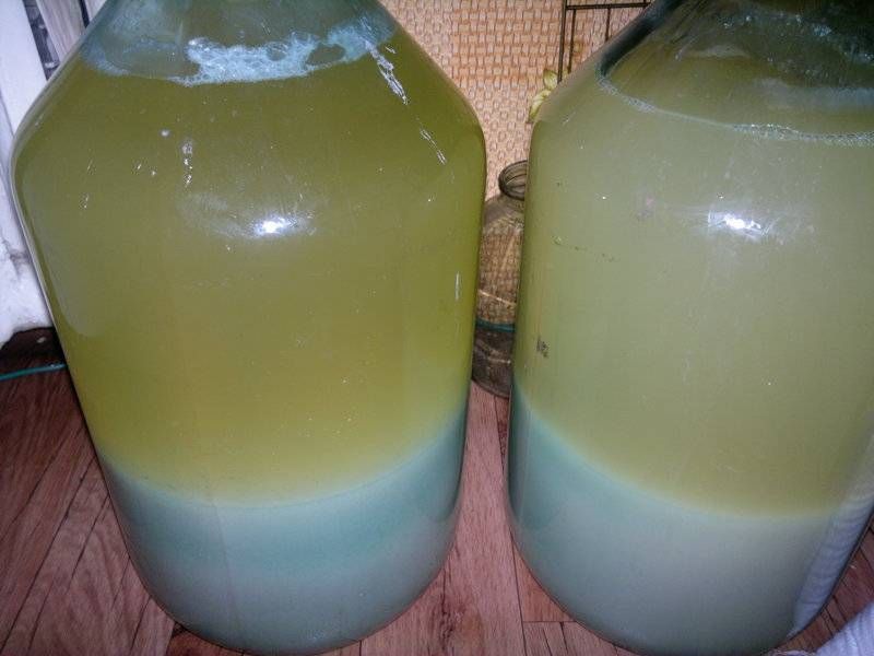 � ���������� ������ ������� ���������� 1,5 � �������� � 30 � �����