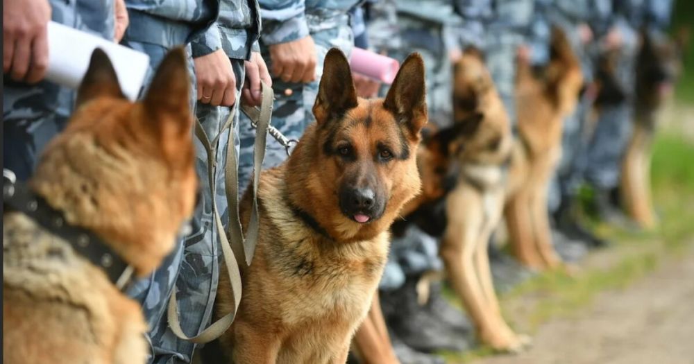 �������� ���������� ������� ���� �������� �������, ����������� � ������